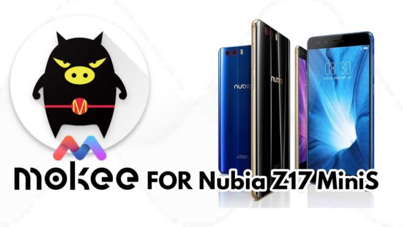 How to Download and Install MoKee OS Android 10 on Nubia Z17 MiniS