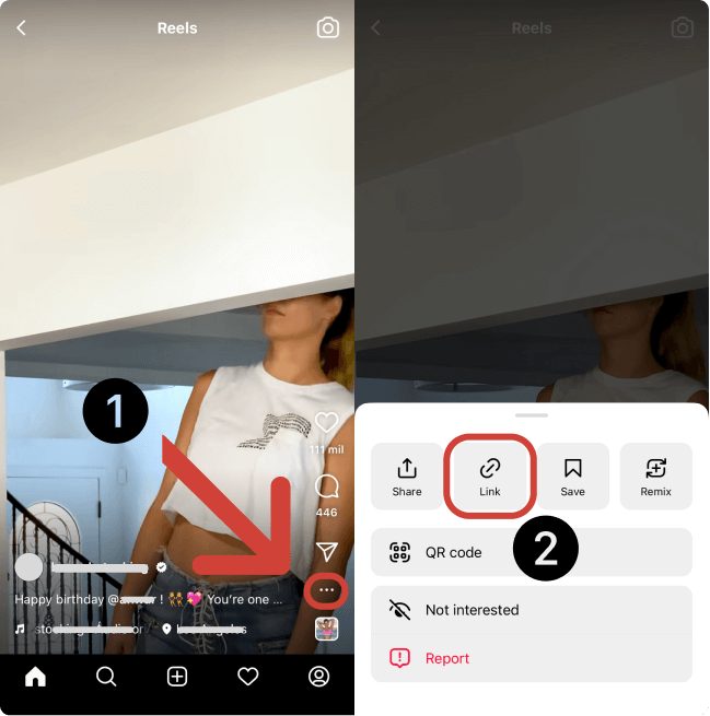 Meet the Instagram Reels&Stories MP4 Downloader