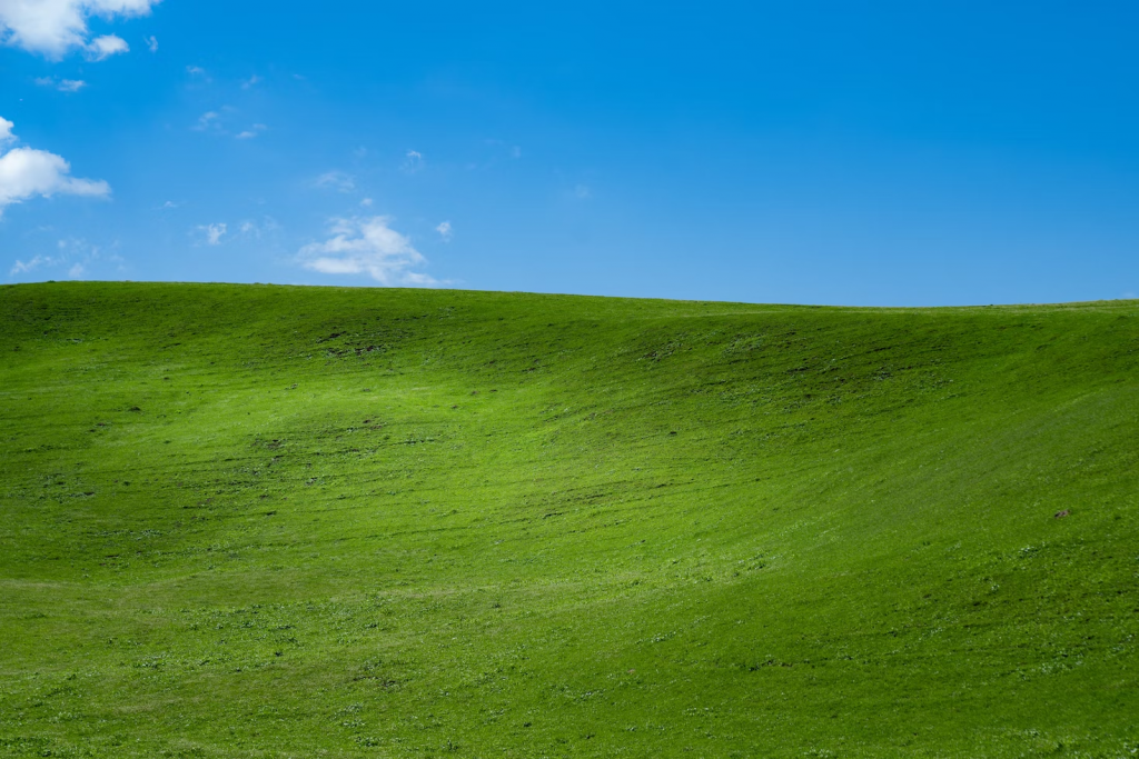 Windows XP: The Trusted Operating System for Millions of Users