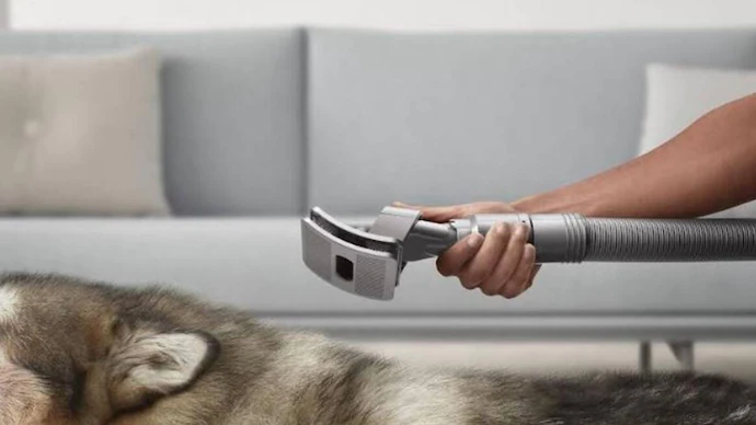 Dyson Pet Grooming Kit Review: Pet Pampering Made Easy!